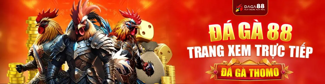 Sảnh Đá Gà Trực Tuyến win789 win
